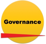 governance survey